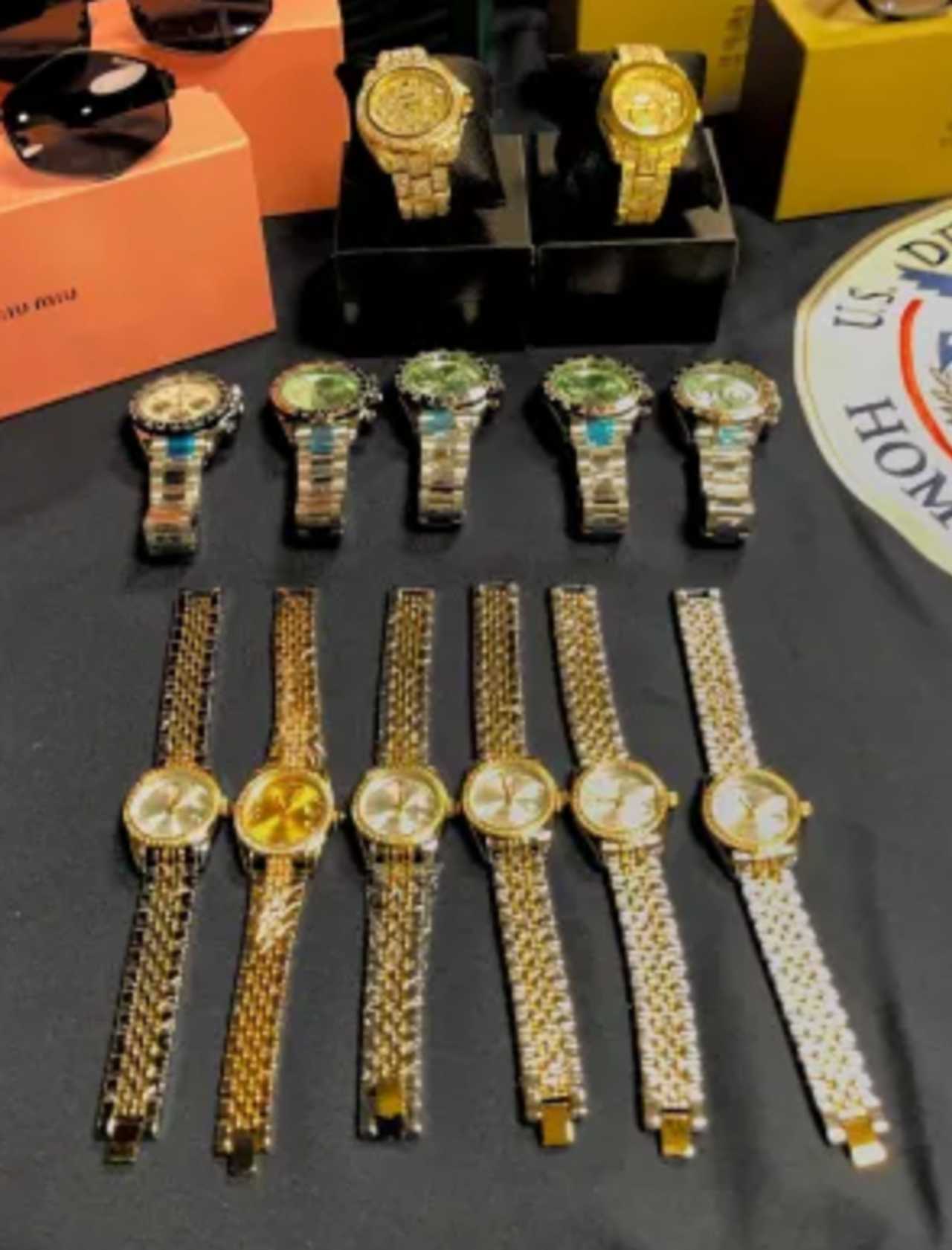 Jaivin Raj Karnani sentenced for $1.2M luxury watch scheme