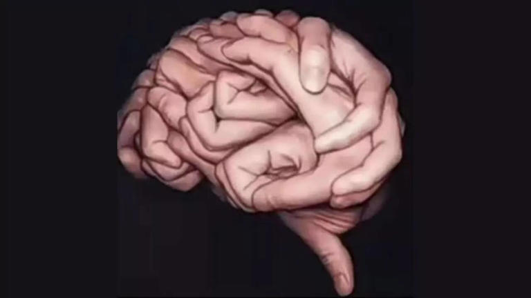 Optical illusion personality test: Hands or brain? What you see first ...