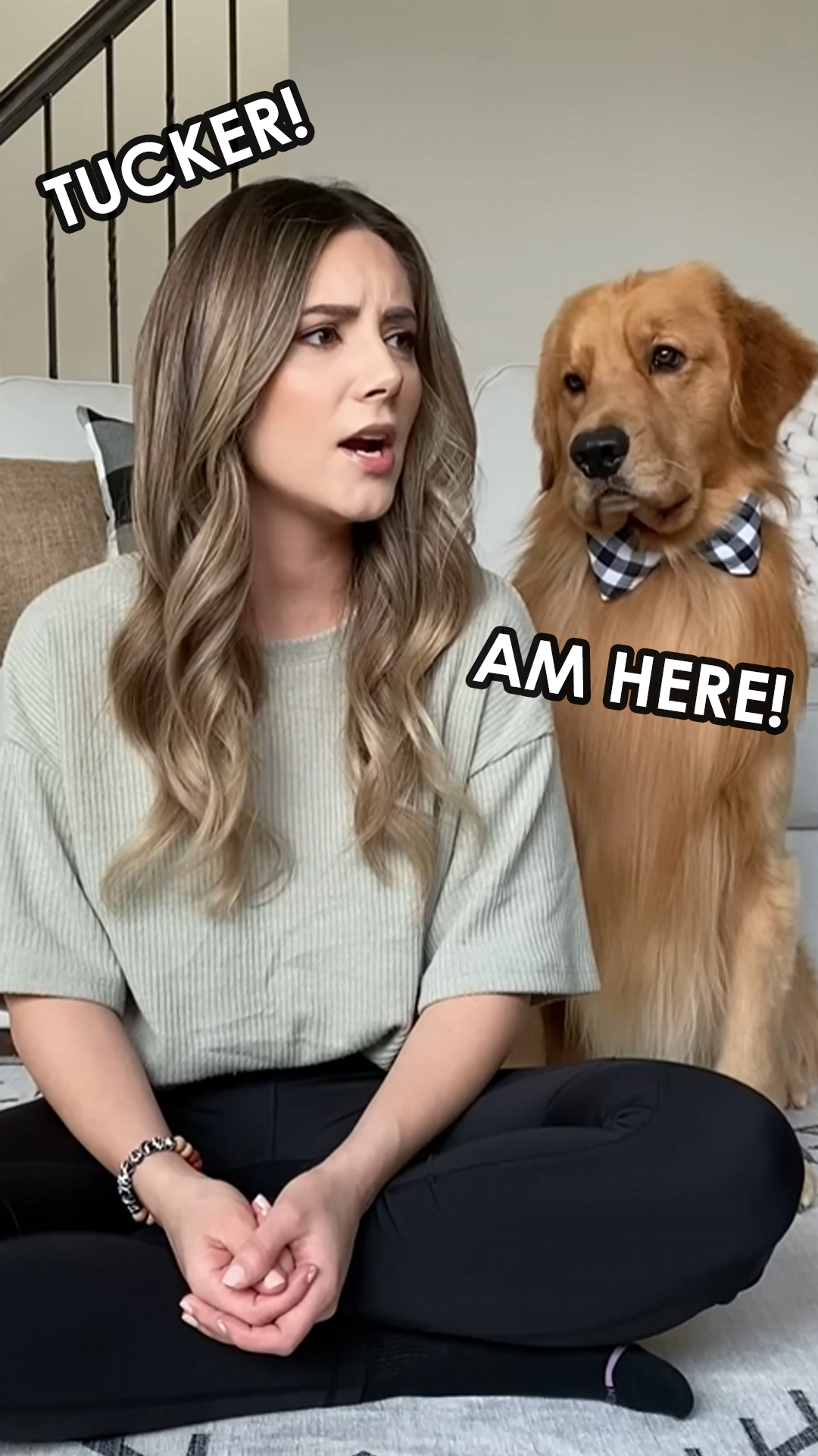 ёяшв Funny Golden Retriever Gets Confused When I Call Him тау Even Though He