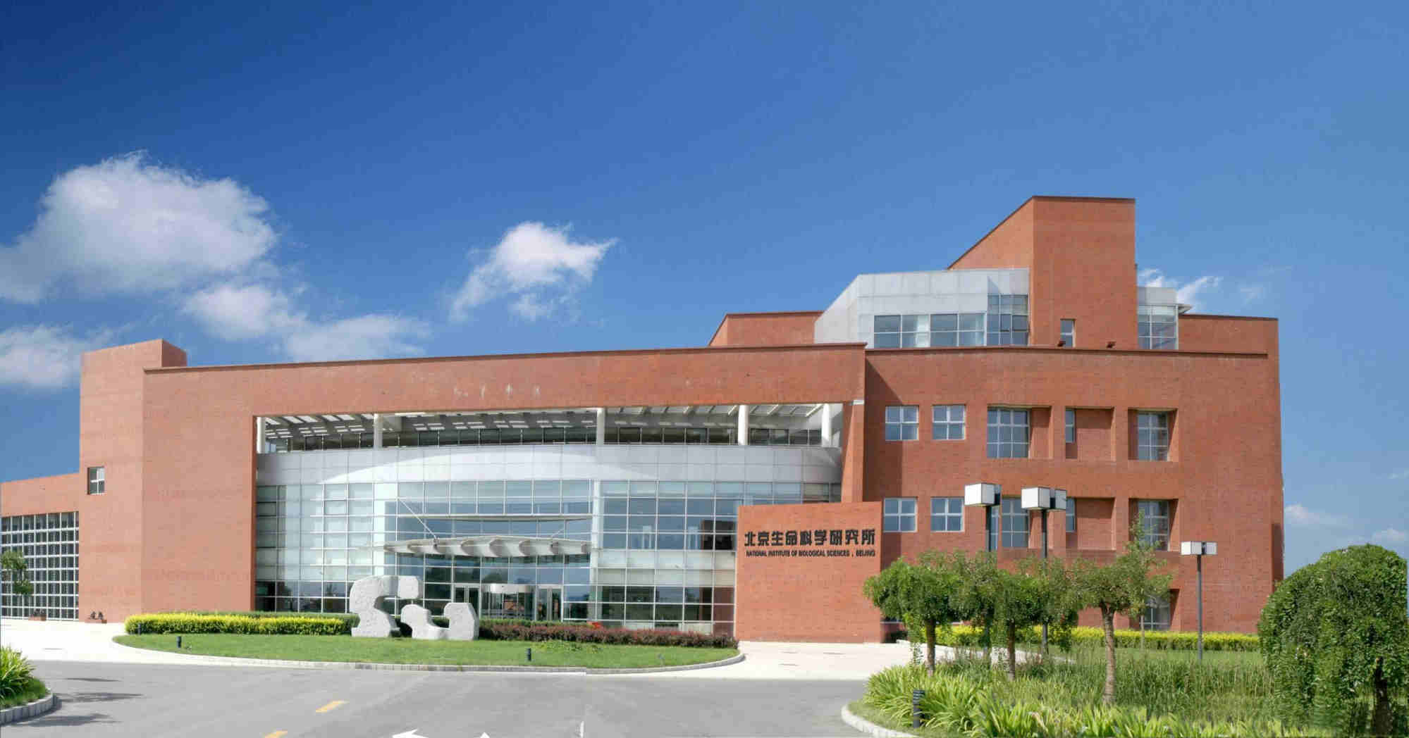 How Chinese scientists cracked the secret of organ regeneration