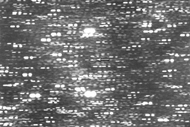 太陽系内を猛スピードで移動する「恒星間天体」が発見された/Gianluca Masi/Virtual Telescope Project