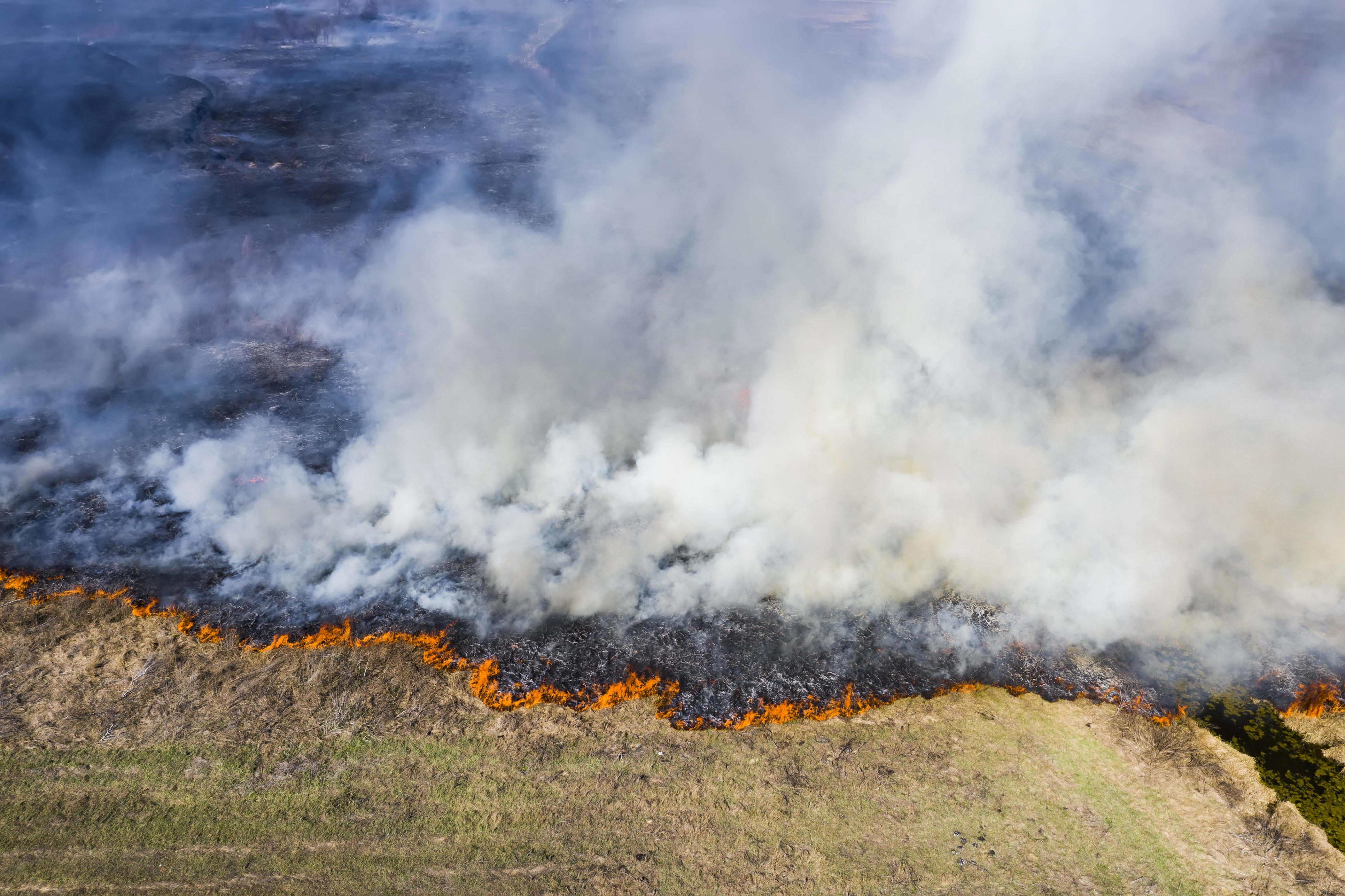 Evacuations ordered as California fire explodes in size due to high winds