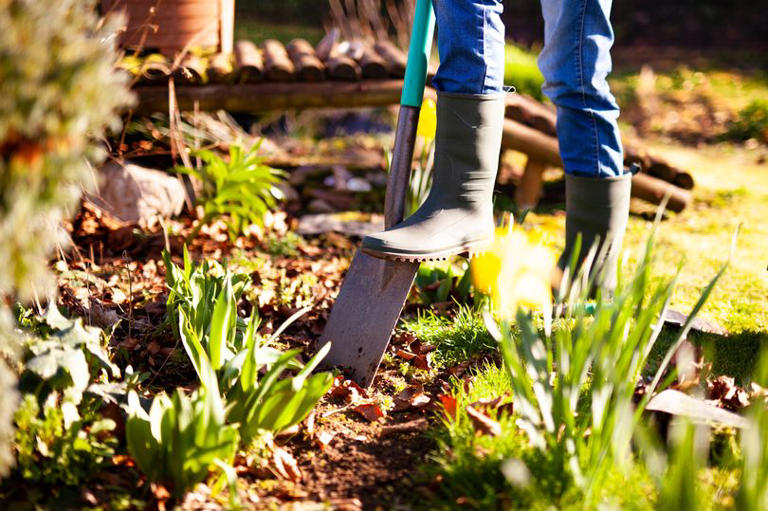 Digging can totally destroy the structure of the soil