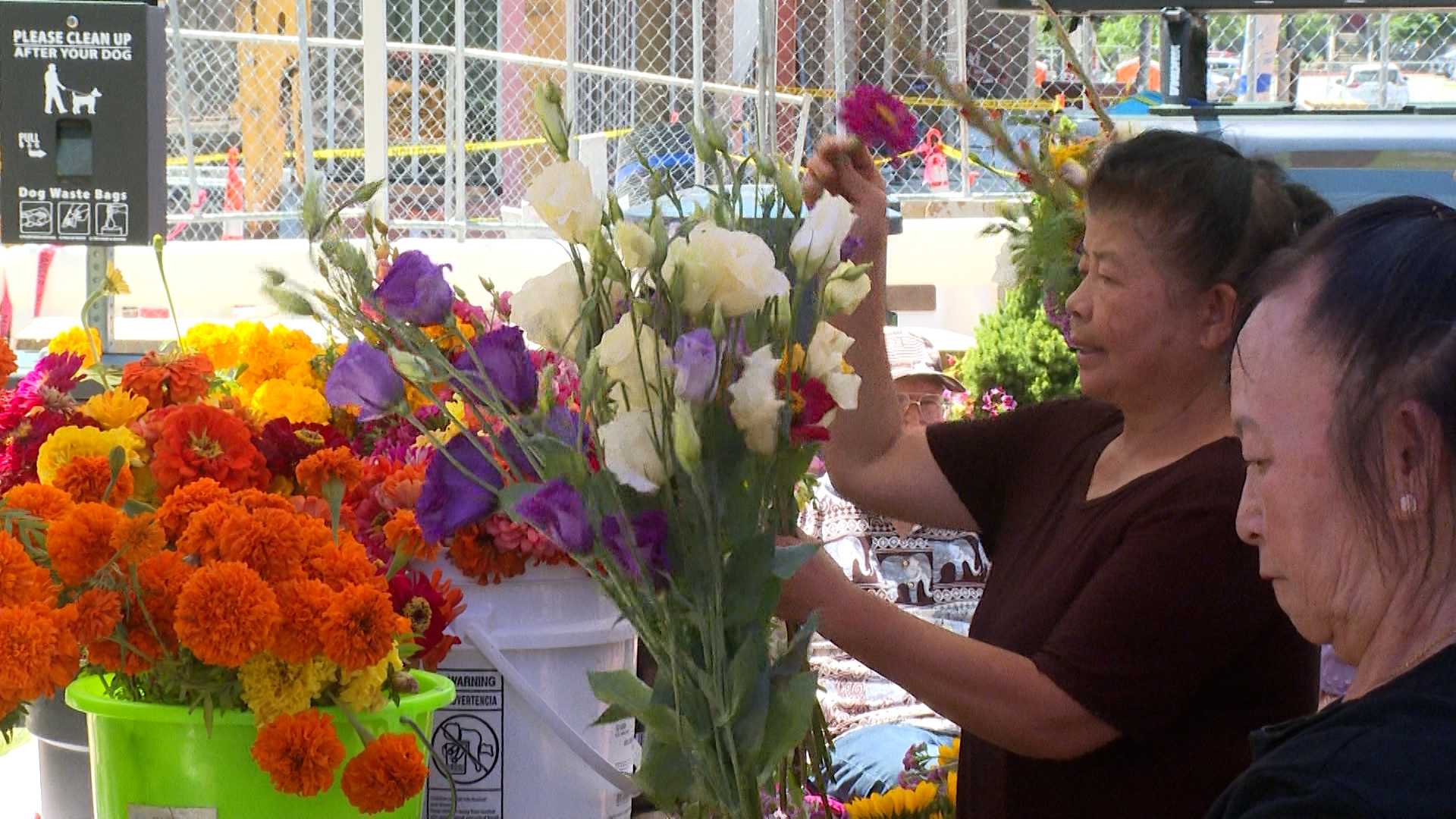 Local family sells at farmers markets - AA1I2pug.img