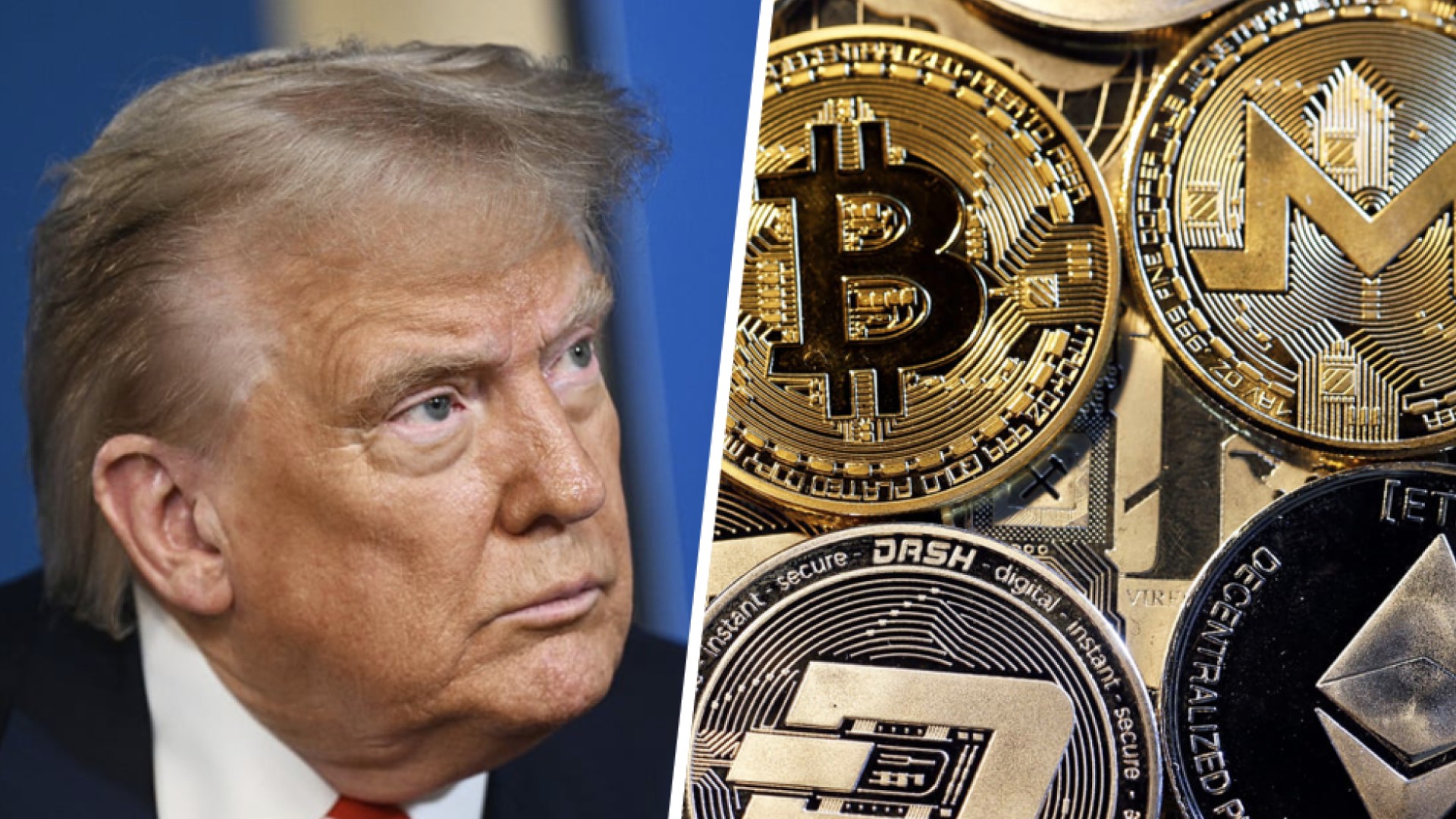How much money has Trump made from crypto ventures? Investigative reporter  lays it out | Watch