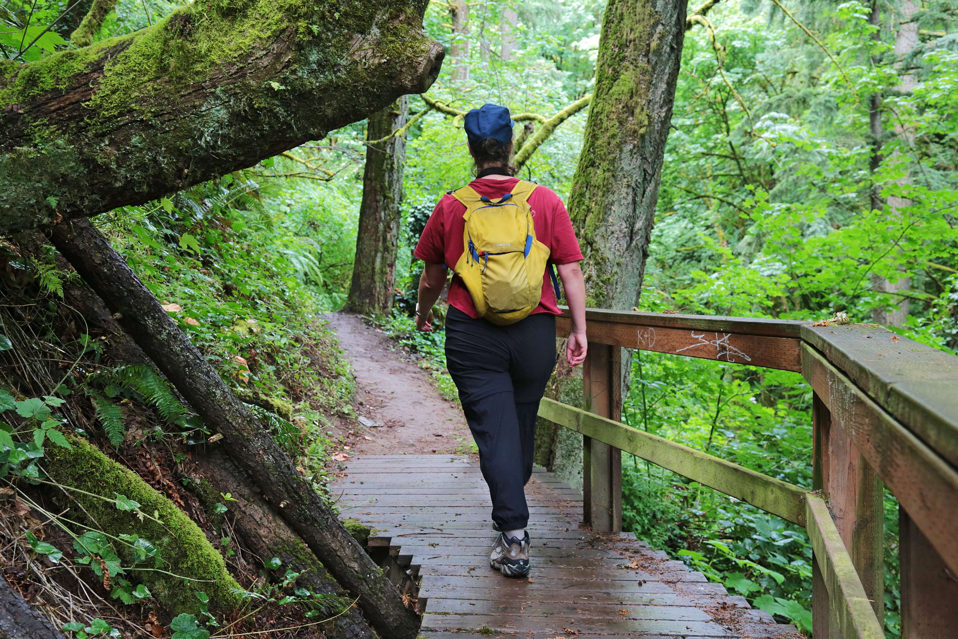 Why the 4T Trail is one of the - AA1I2qYB.img