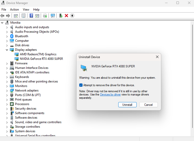 A screenshot from the Windows 11 Device Manager.