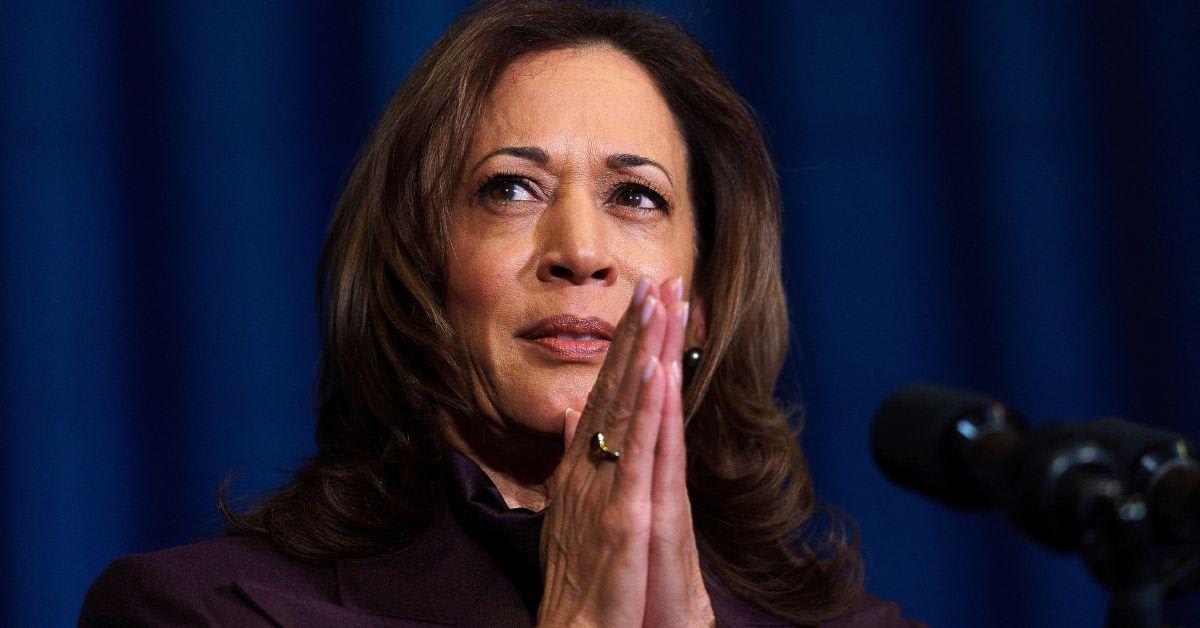Kamala Harris’ Comeback Sparks Donor Backlash as Democrats Worry History Could Repeat