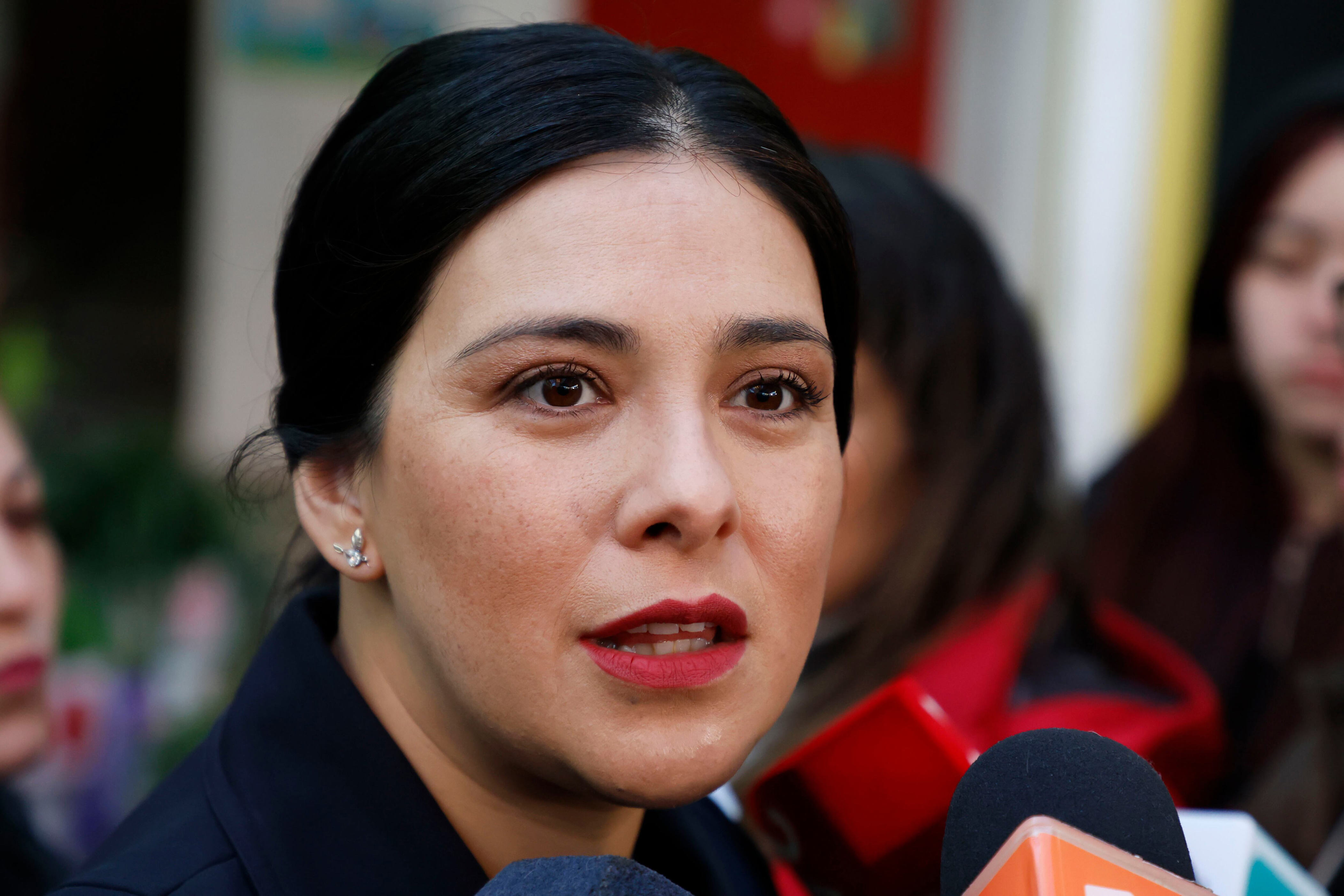 Cariola defiende que nunca se opuso a abrir sus cuentas bancarias y ...