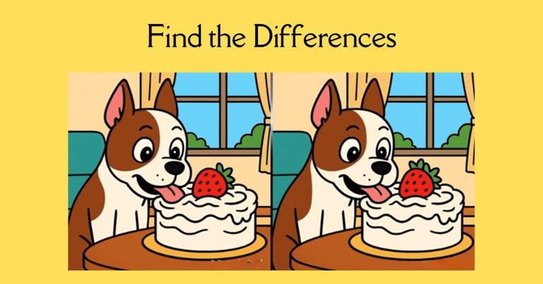 Spot the 3 Differences in Dog Eating Cake Beat the 19-Second Challenge!
