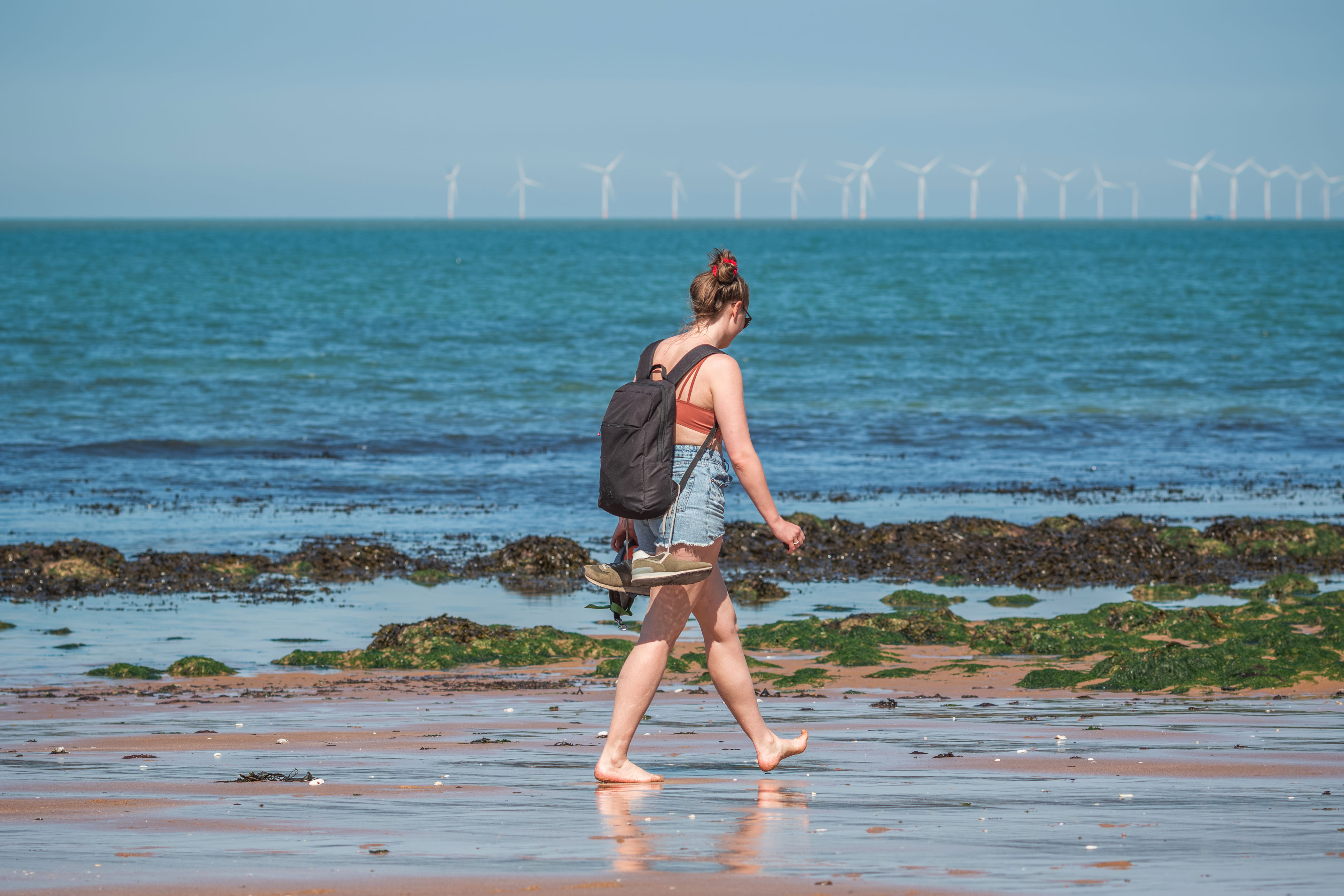 Big Question: Scientists Unravel Wind Farm "Risk" as Major Australian Projects Launch