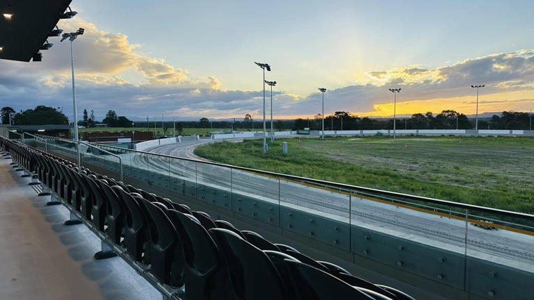 Greyhound trainers frustrated over 'lack of accountability' as safety ...