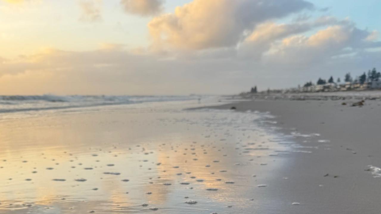 State in Crisis as Beaches Turn Toxic