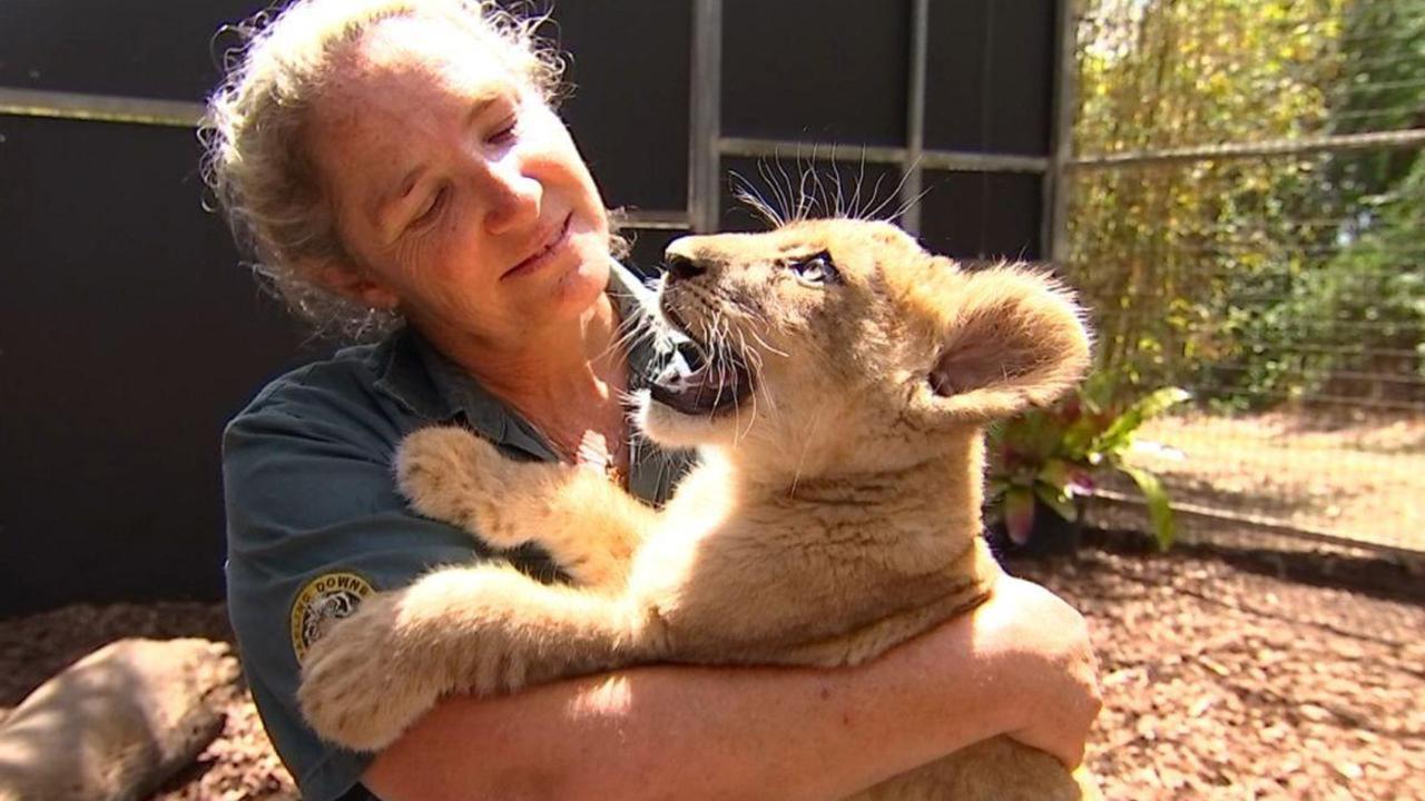 Woman Killed by Lion Identified