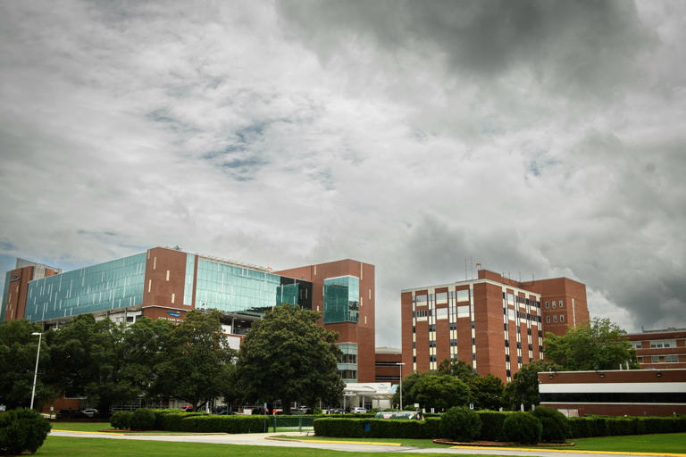 Cape Fear Valley shows patient safety gains after long plateau