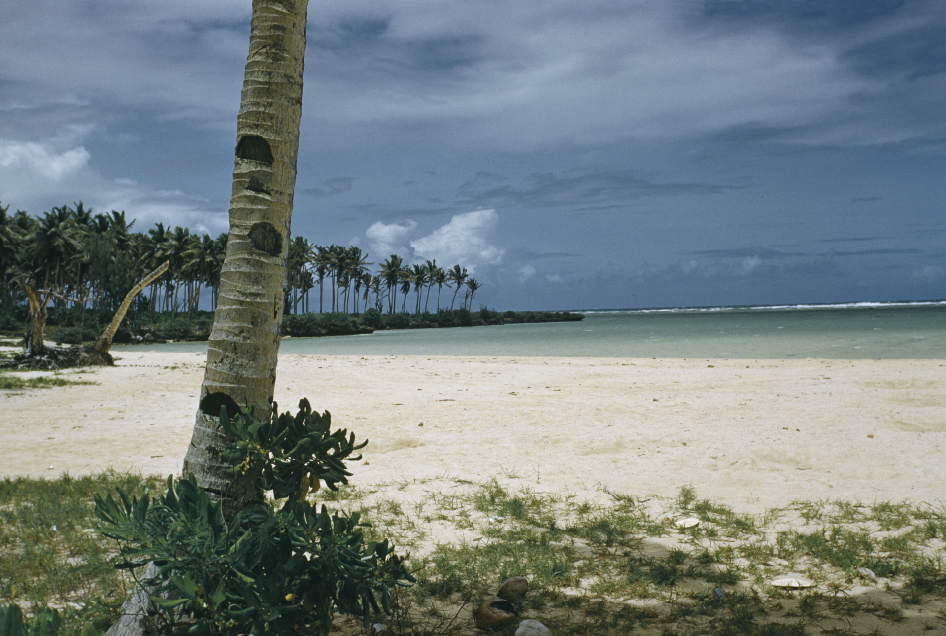 WHAT CARIBBEAN ISLANDS ARE US TERRITORIES visual data 3