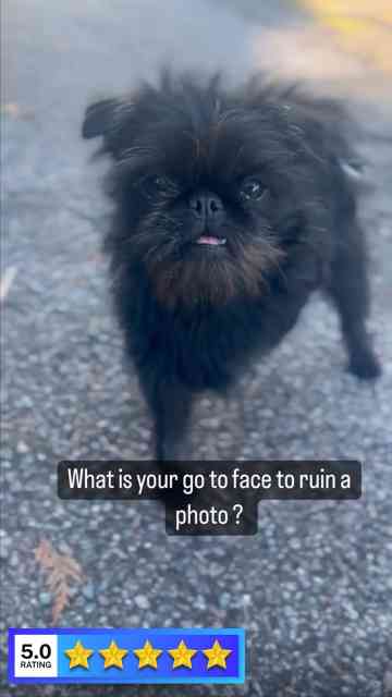 Come On. We’ve All Got Them