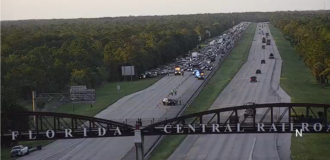 77yearold man killed trying to save turtle on Florida highway(02)