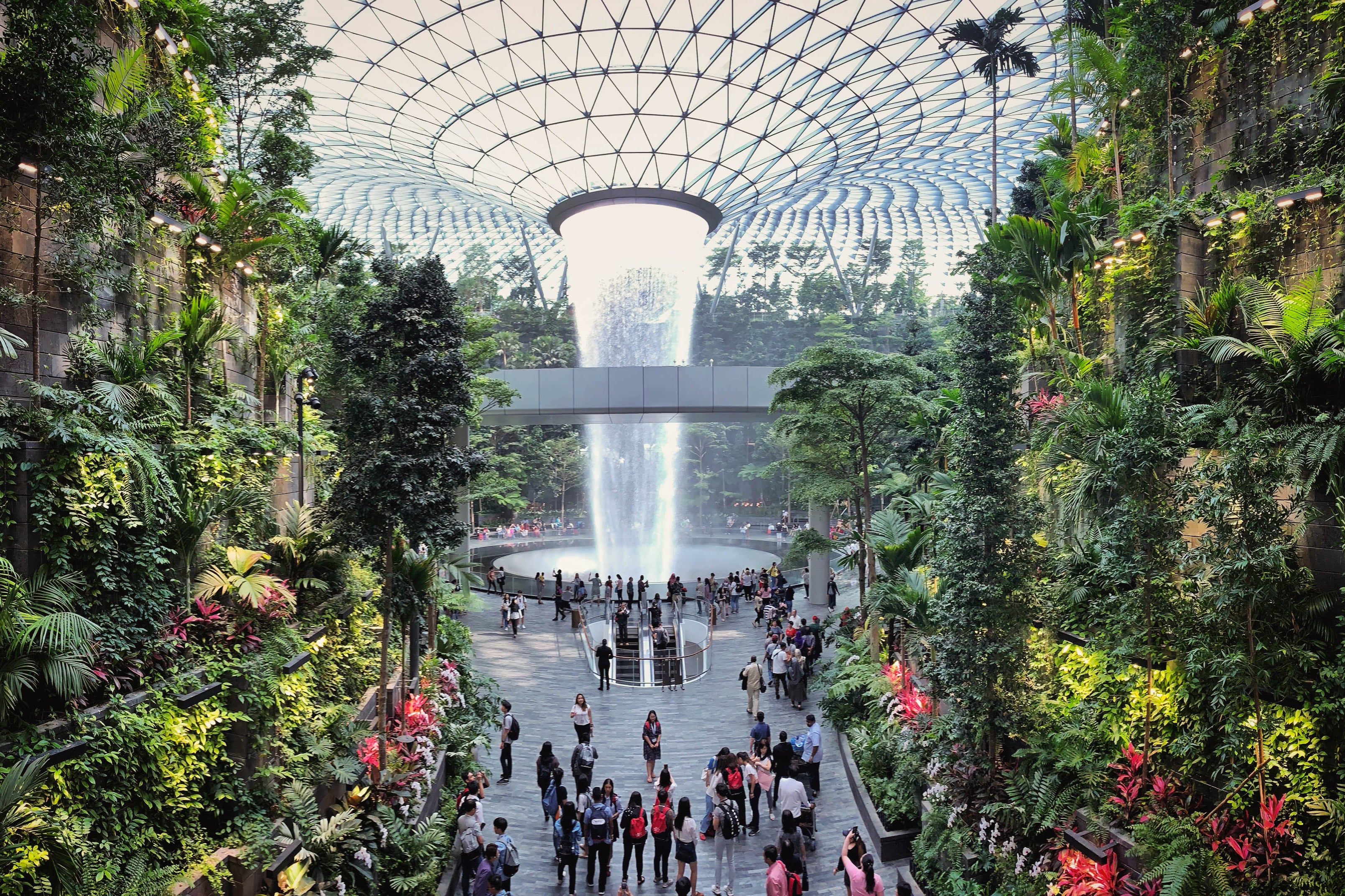 New Study Shakes Up the Science of Ageing