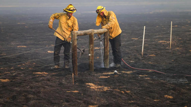 80,000-acre Madre Fire now more than 60% contained in SLO County