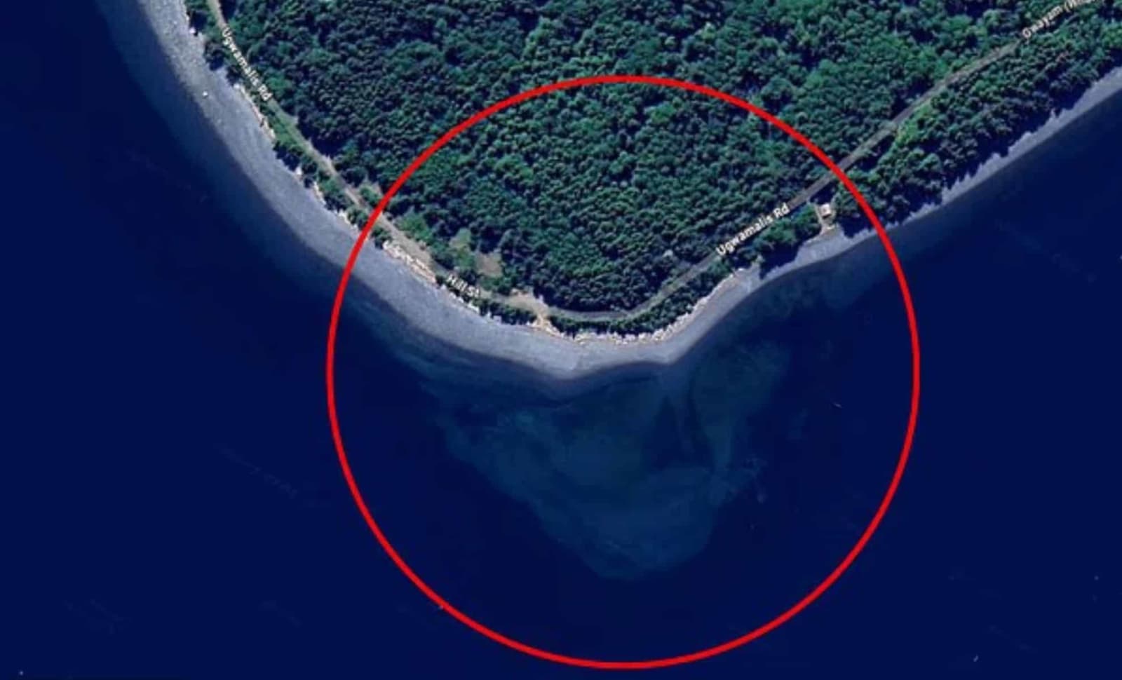 Google Maps Reveals a Mysterious - AA1I8V40.img