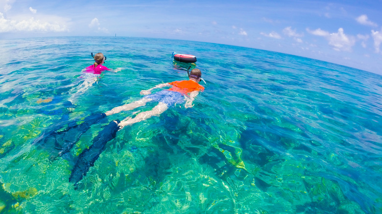 A Picturesque Getaway In The Florida - AA1I90rZ.img