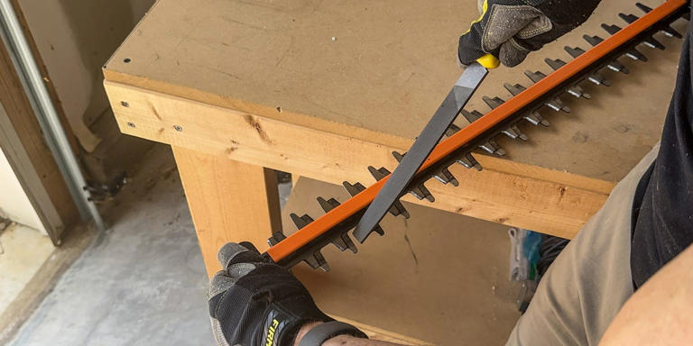For Perfectly Trimmed Bushes and Shrubs, You Need a Sharp Hedge Trimmer ...
