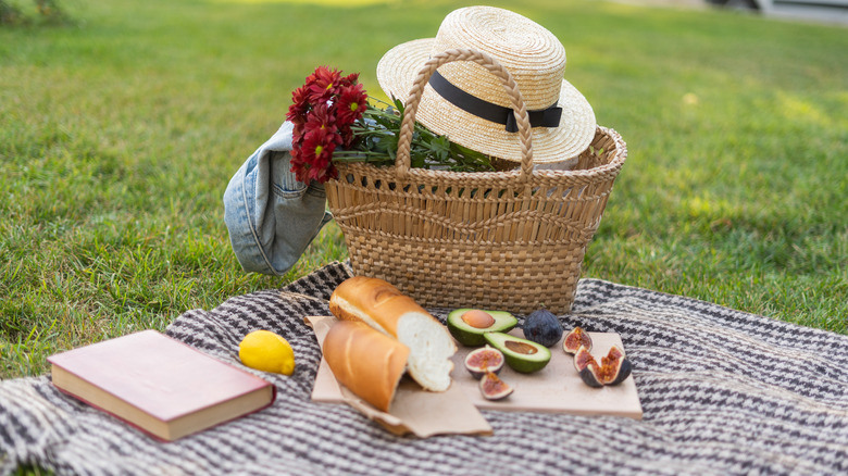 11 Best Things To Bring On A Picnic 11 Best Things To Bring On A Picnic