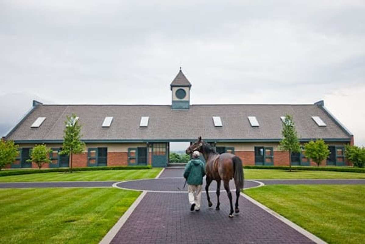 The 2025 Breeding Season Exit Survey: Part 2 - Darley, Gainesway, And ...