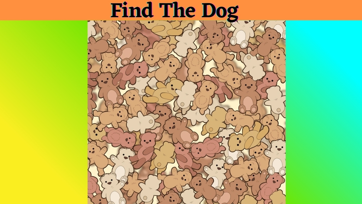 Optical Illusion IQ Test: Only People with 6/6 Vision Can Spot the ...