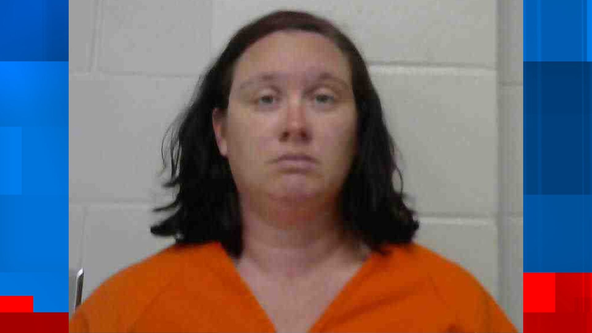 Mother accused of leaving her baby in hot car pleads no contest to