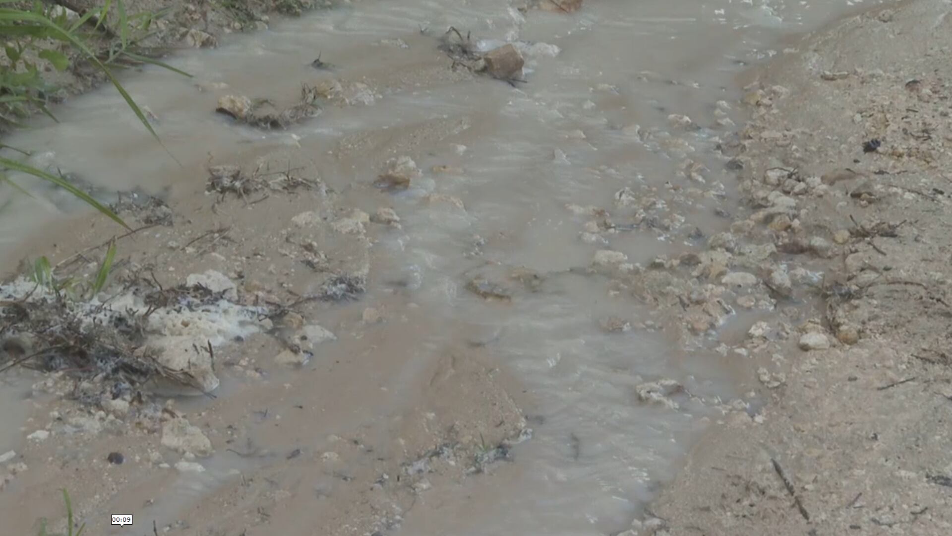 Levy County commissioners question - AA1IBacn.img