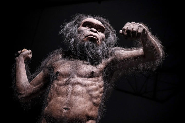 Ilustrasi Homo habilis. Foto: AKKHARAT JARUSILAWONG/Shutterstock