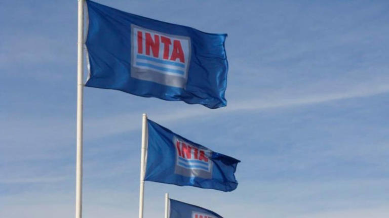INTA 14072025