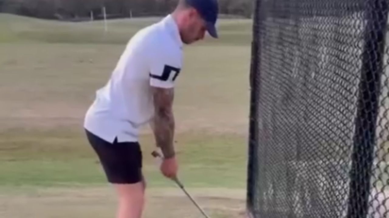 DW GETS HIT BY SWING visual data 2