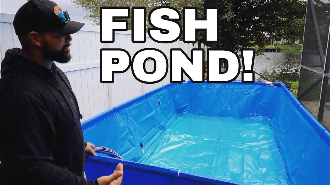 From ordinary pool to backyard fish factory