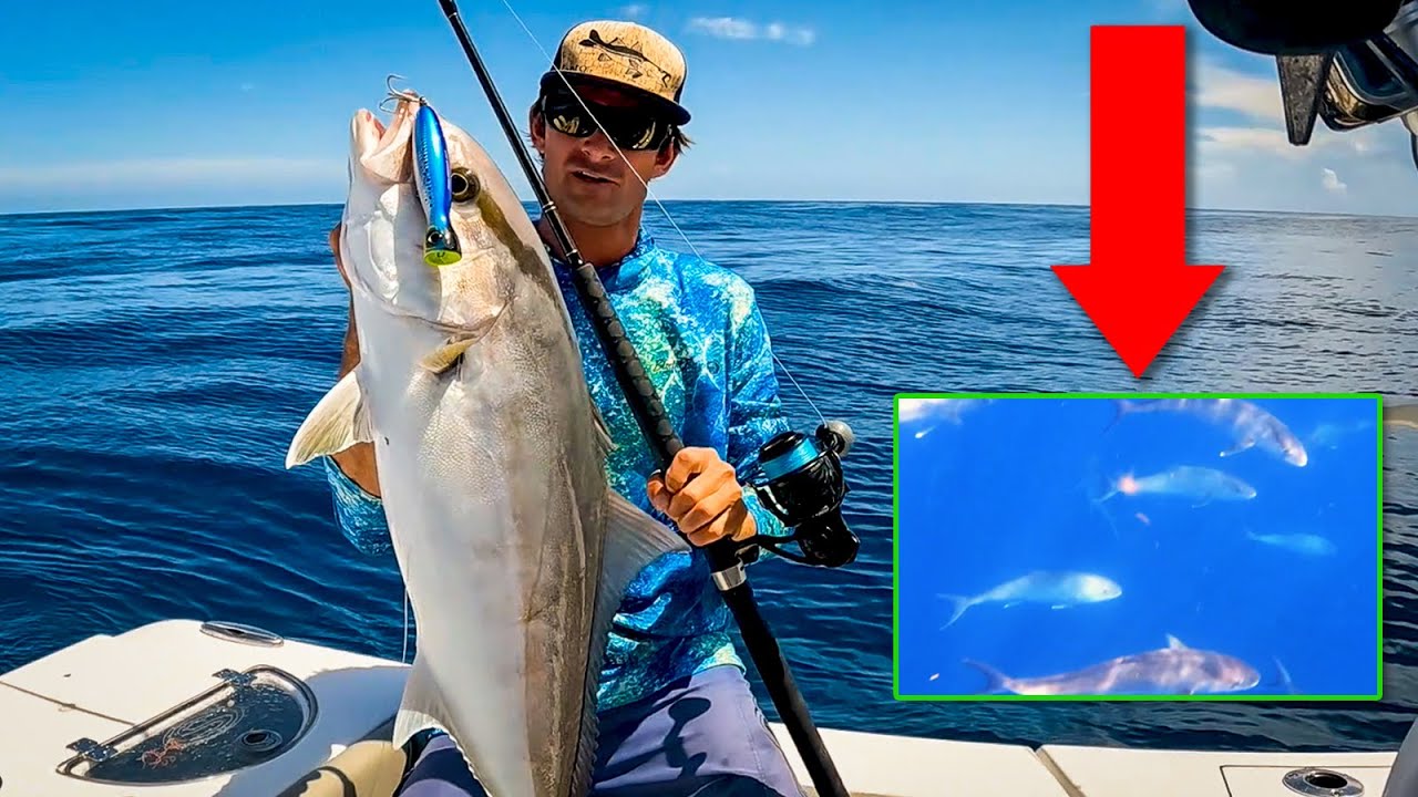 Checking on our Pet Fish and Sharks! - Offshore Fishing