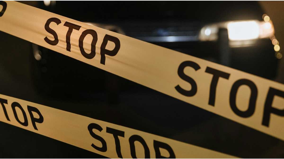 LTO suspends driver's license of suspect behind road incident in Ilocos ...