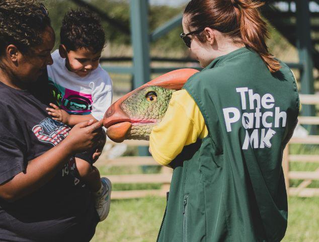 Popular fun and flower fields to reopen next week
