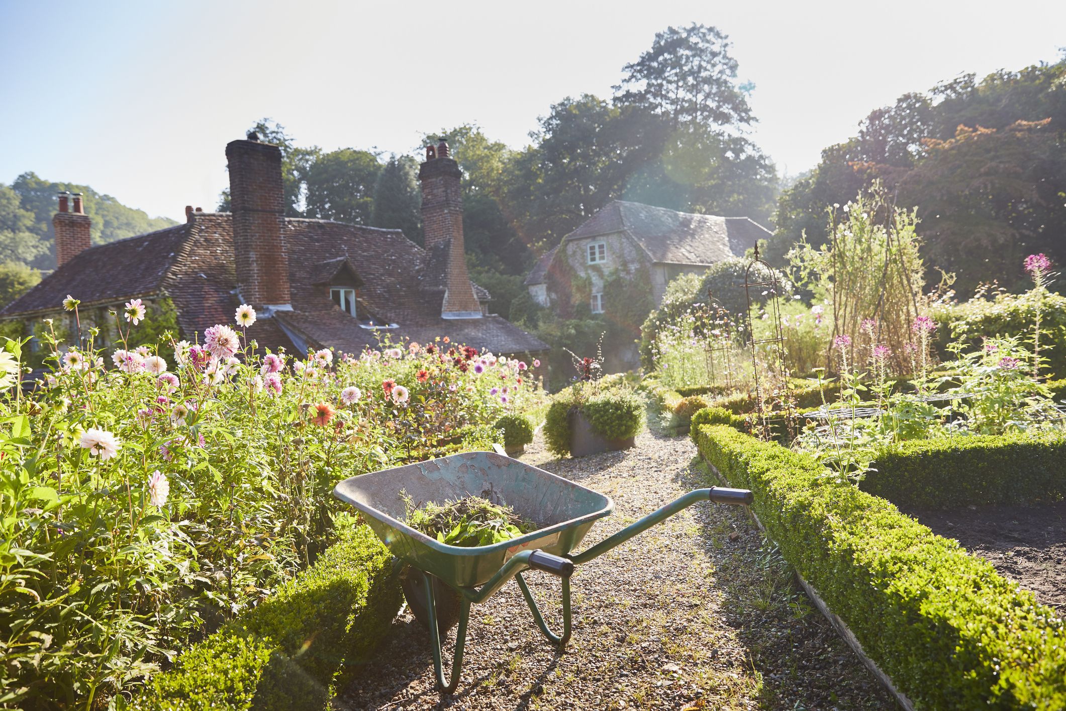 Channel the Timeless Charm of an English Garden—Right in Your Backyard