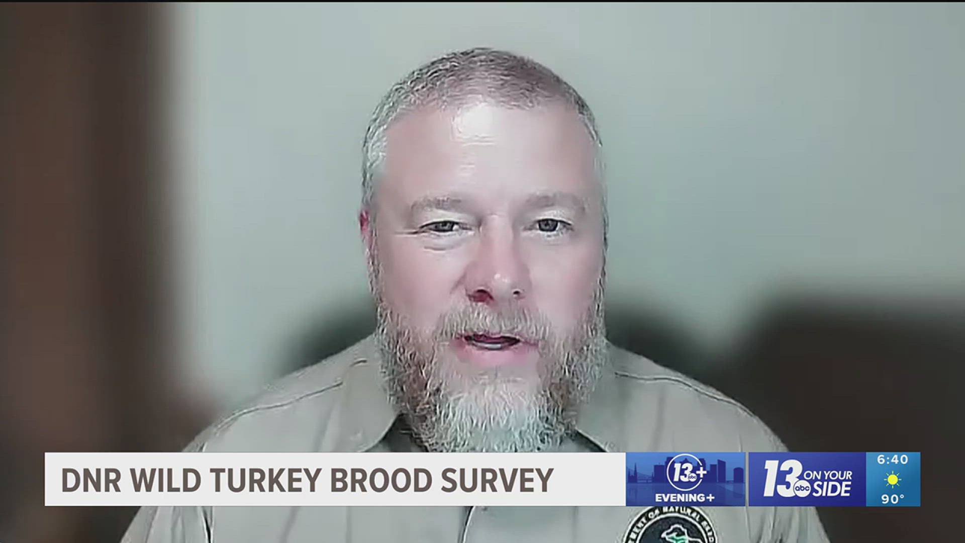 Michigan DNR talks survey on turkey broods