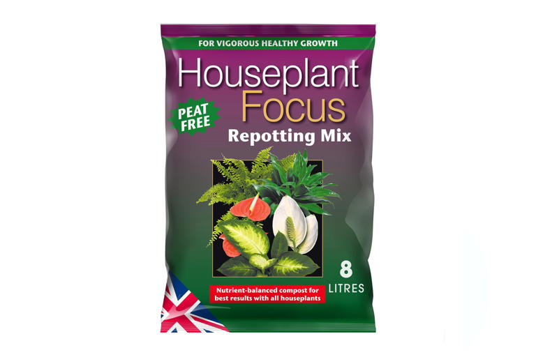 Basic plant care essential tools for happy houseplants