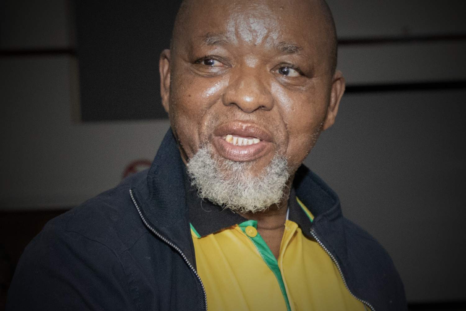 Gwede Mantashe takes over as Acting Police Minister