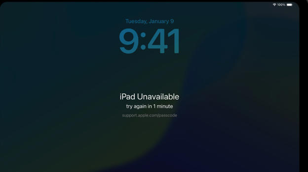iPad unavailable screen
