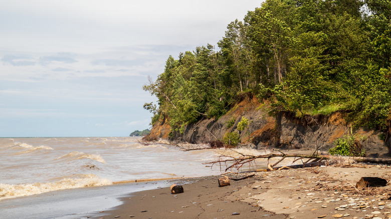 Lake Erie's Shores Boast A Free-To-Visit Pennsylvania State Park With Scenic Beach Bluffs, Trails, And Views