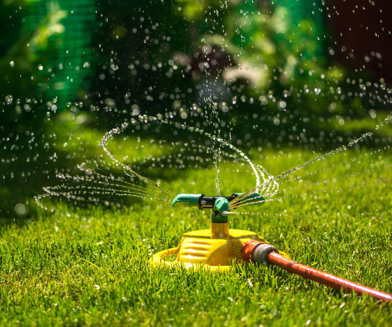 This quick test can tell you if your lawn needs watering in hot weather ...