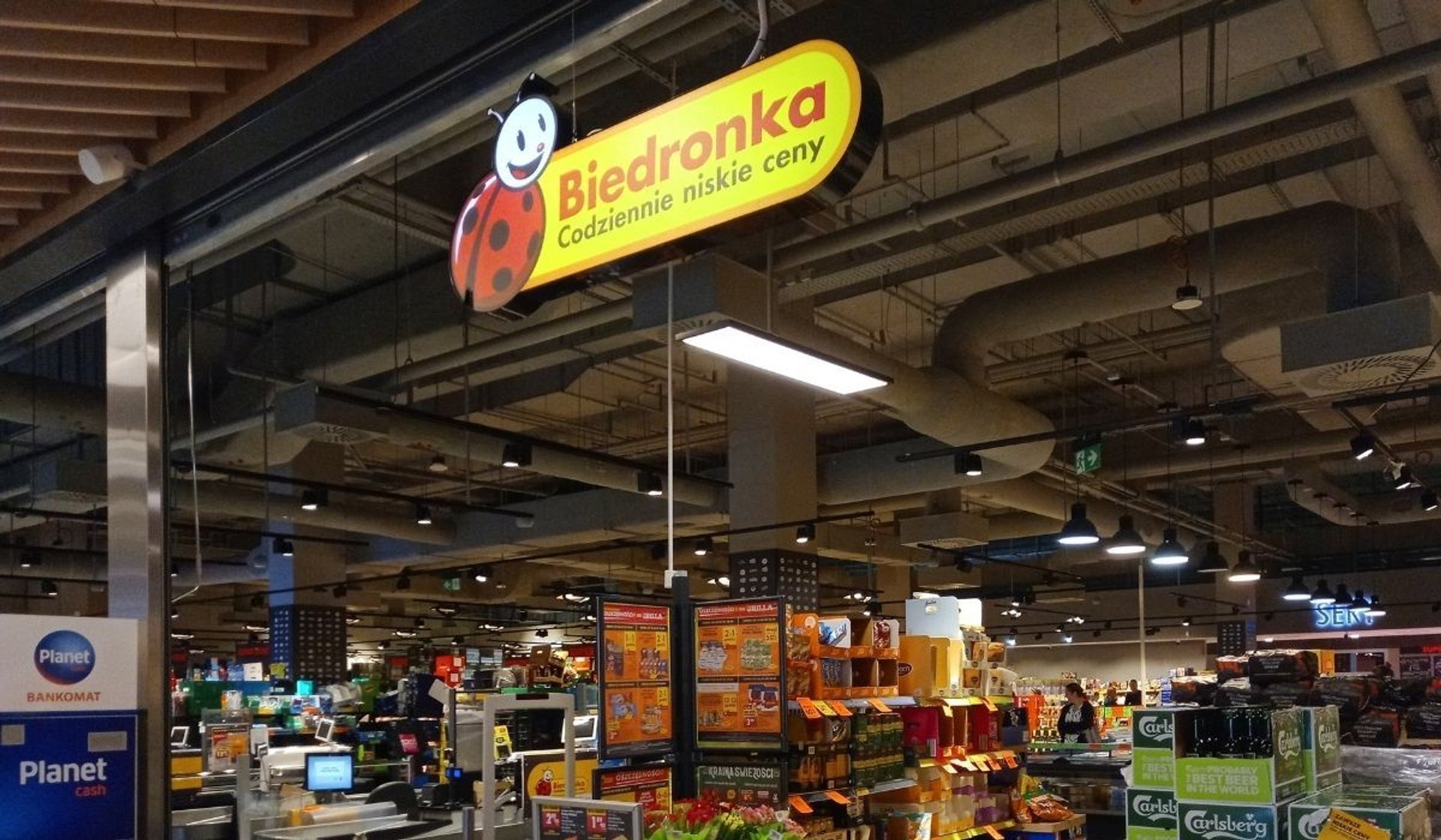 PI NOCY W BIEDRONCE 2 UNOFFICIAL visual data 6