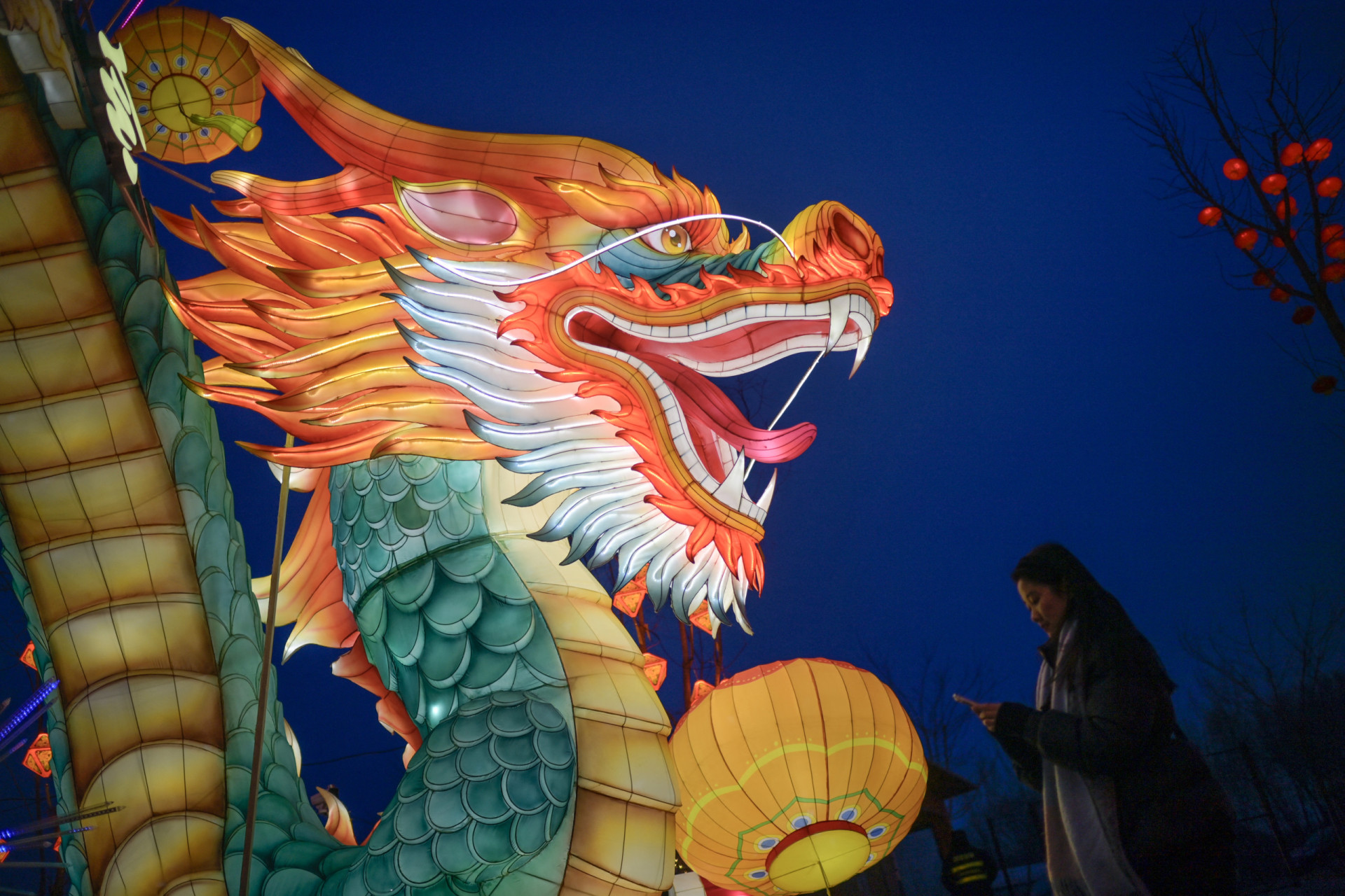 Pourquoi les dragons existent-ils dans absolument toutes les cultures s ...