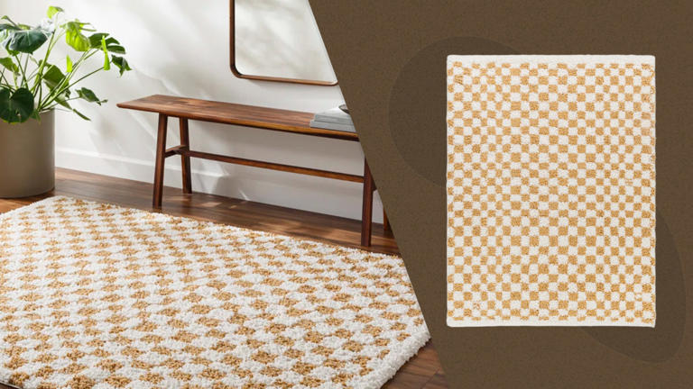 Wayfair Is Selling an 'Extremely Soft' 390 Rug for 120, and Shoppers