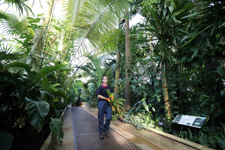 London attraction to close for years during revamp